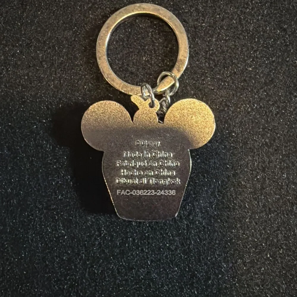 Disney Parks 
